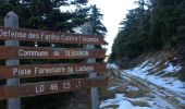 Trail Walking Mons - tour du Mt Lachens - Photo 11