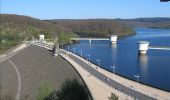 Excursión Senderismo Jalhay - Barrage de la Gileppe-barrage d'Eupen - Photo 1