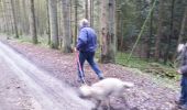 Tocht Stappen Le Monestier - Le Monest - Photo 1