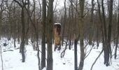 Randonnée Marche Pontault-Combault - forêt de ferriere sous la neige - Photo 5