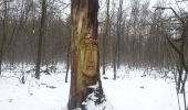 Randonnée Marche Pontault-Combault - forêt de ferriere sous la neige - Photo 1