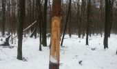 Percorso Marcia Pontault-Combault - forêt de ferriere sous la neige - Photo 4