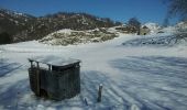 Randonnée Raquettes à neige Thiézac - Porte du lion-Niervèse - Photo 12