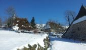 Randonnée Raquettes à neige Thiézac - Porte du lion-Niervèse - Photo 8