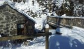 Randonnée Raquettes à neige Thiézac - Porte du lion-Niervèse - Photo 6