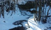 Randonnée Raquettes à neige Thiézac - Porte du lion-Niervèse - Photo 4
