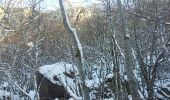 Randonnée Raquettes à neige Thiézac - Porte du lion-Niervèse - Photo 3