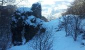 Randonnée Raquettes à neige Thiézac - Porte du lion-Niervèse - Photo 2