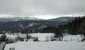 Tocht Sneeuwschoenen Albepierre-Bredons - Col et puy de Molède - Photo 2