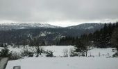 Randonnée Raquettes à neige Albepierre-Bredons - Col et puy de Molède - Photo 2