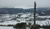 Tocht Sneeuwschoenen Albepierre-Bredons - Col et puy de Molède - Photo 1