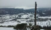 Percorso Racchette da neve Albepierre-Bredons - Col et puy de Molède - Photo 1