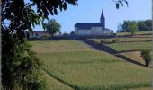 Tocht Mountainbike Lescurry - Boucle autour de Lescurry - Photo 1