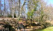 Trail Mountain bike Jupilles - En forêt de Bercé - Jupilles - Photo 1