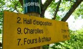 Tocht Stappen Charolles - Chemin du bocage et des fours à chaux - Charolles - Photo 3