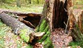 Excursión Senderismo Incheville - Balade dans le Massif du Triage - Forêt d'Eu - Photo 3