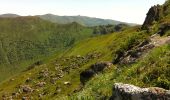 Tour Wandern Lavigerie - Le Puy de Peyre Arse depuis la Gravière - Photo 5
