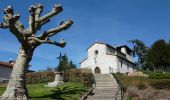 Percorso Mountainbike Civens - B3 - VTT Montagnes du Matin - Civens - Photo 5