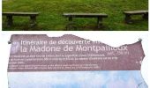 Excursión Bici de montaña Veauche - Par Monts et par Veauche - Veauche - Photo 2