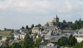 Tocht Fiets Entraygues-sur-Truyère - Circuit des 10 plus beaux villages de France de l'Aveyron - Entragues sur Truyère - Aubrac - Photo 3