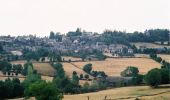 Tocht Fiets Saint-Chély-d'Aubrac - Circuit des 10 plus beaux villages de France de l'Aveyron - Aubrac - Le Rozier Peyreleau - Photo 4