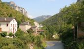 Tour Fahrrad Saint-Chély-d'Aubrac - Circuit des 10 plus beaux villages de France de l'Aveyron - Aubrac - Le Rozier Peyreleau - Photo 2