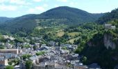 Percorso Bicicletta Le Rozier - Circuit des 10 plus beaux villages de France de l'Aveyron - Le Rozier - Nant - Photo 3