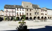 Tocht Fiets Réquista - Circuit des 10 plus beaux villages de France de l'Aveyron - Réquista - Najac - Photo 4