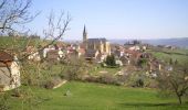 Tocht Fiets Najac - Circuit des 10 plus beaux villages de France de l'Aveyron - Najac - Capdenac - Photo 1