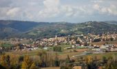Tour Fahrrad Capdenac-Gare - Circuit des 10 plus beaux villages de France de l'Aveyron - Capdenac - Entragues sur Truyère - Photo 3