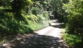 Randonnée Vélo Autun - Uchon par Toulongeon et Porolle - Autun - Photo 3