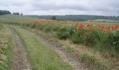 Randonnée Marche Londinières - Circuit de Londinières - Photo 3