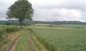 Tour Wandern Londinières - Circuit de Londinières - Photo 2