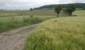 Tocht Stappen Londinières - Circuit de Londinières - Photo 1