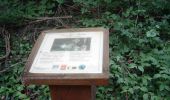 Trail Walking Osmoy-Saint-Valery - Circuit pédagogique de l'Oiseau - Photo 4