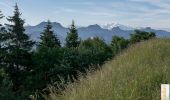 Tocht Stappen Draillant - Le Mont Forchat, 1539m - Habère Lullin - Photo 1