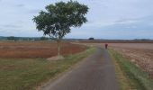 Tocht Stappen La Berthenoux - Sur les pas des Maîtres Sonneurs (La Berthenoux - La Motte-Feuilly) - Photo 3