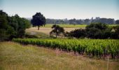 Tocht Stappen La Motte-Feuilly - Sur les pas des Maîtres Sonneurs (La Motte Feuilly - Châteaumeillant)  - Photo 2