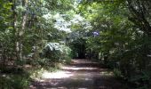 Trail Walking Sauret-Besserve - Balade dans les Combrailles - Sauret Besserve - Photo 1