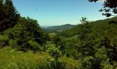 Excursión Senderismo Saint-Sauveur-Camprieu - De Camprieu au Mont Aigoual - Photo 3