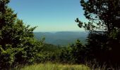 Randonnée Marche Saint-Sauveur-Camprieu - De Camprieu au Mont Aigoual - Photo 1