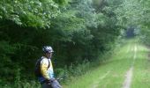 Tocht Mountainbike Chaource - Circuit des Forêts - Chaource - Photo 3