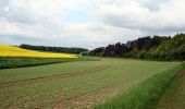 Tocht Mountainbike Étourvy - Circuit des Coteaux - Etourvy - Photo 1