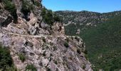 Trail Mountain bike Taurinya - Descente du Cortalet (Canigou) - Photo 1