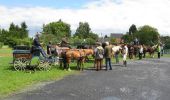 Tour Pferd Saméon - L'Equi-Pévèloise - Saméon - Photo 3