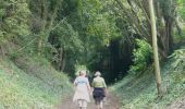 Trail Walking Bouelles - Vers la Forêt d'Eu - Bouelles - Photo 4