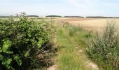 Randonnée Marche Buire-Courcelles - Le chemin Binard - Buire Courcelles - Photo 5