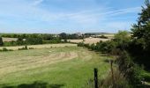 Percorso Marcia Buire-Courcelles - Le chemin Binard - Buire Courcelles - Photo 4