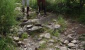 Trail Equestrian Fay-sur-Lignon - De Fay sur Lignon à Saint Front - Photo 4