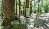 Trail Walking Saint-Forgeux-Lespinasse - VTT en Forêt de Lespinasse - Le circuit du Sanglier - Photo 1